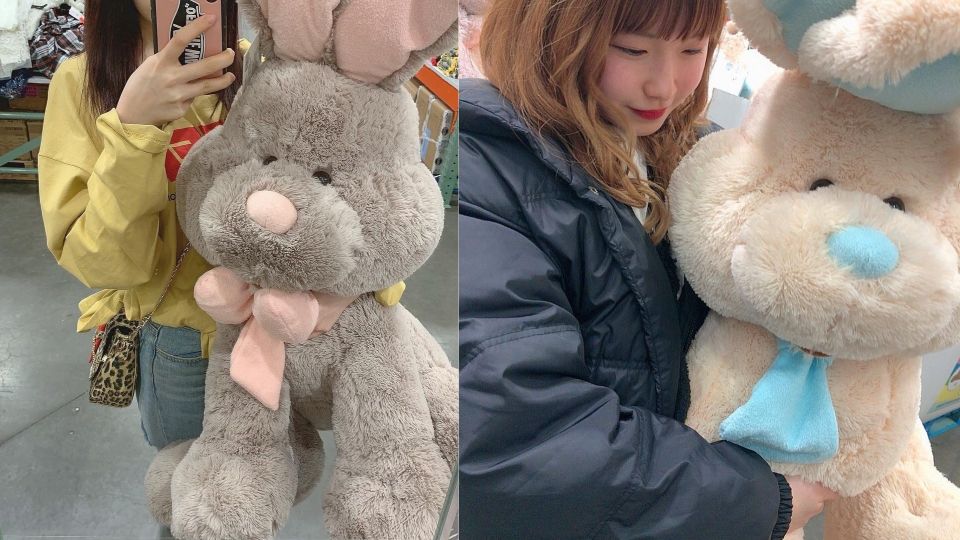 IG狂洗版！日本Costco爆紅的巨兔娃娃，韓國好市多也開賣啦！超軟萌療癒模樣，燒到網友求代購！
